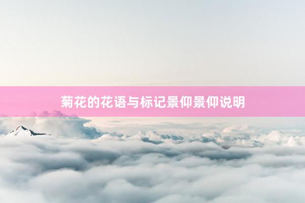 菊花的花语与标记景仰景仰说明