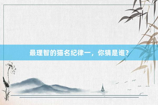 最理智的猫名纪律一，你猜是谁？